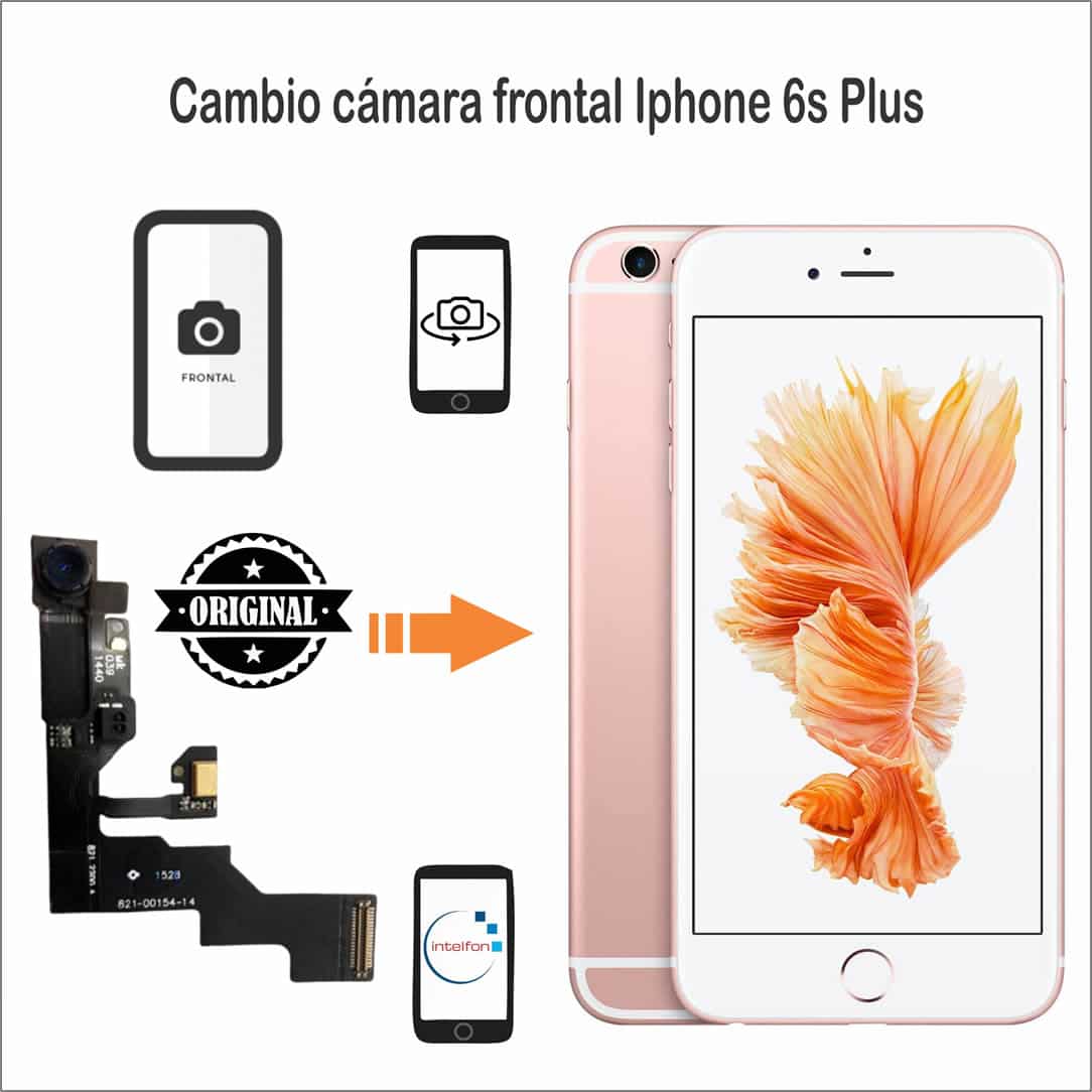 Adjuntar a cálmese Discreto Cambiar camara frontal iPhone 6S Plus - Intelfon.es